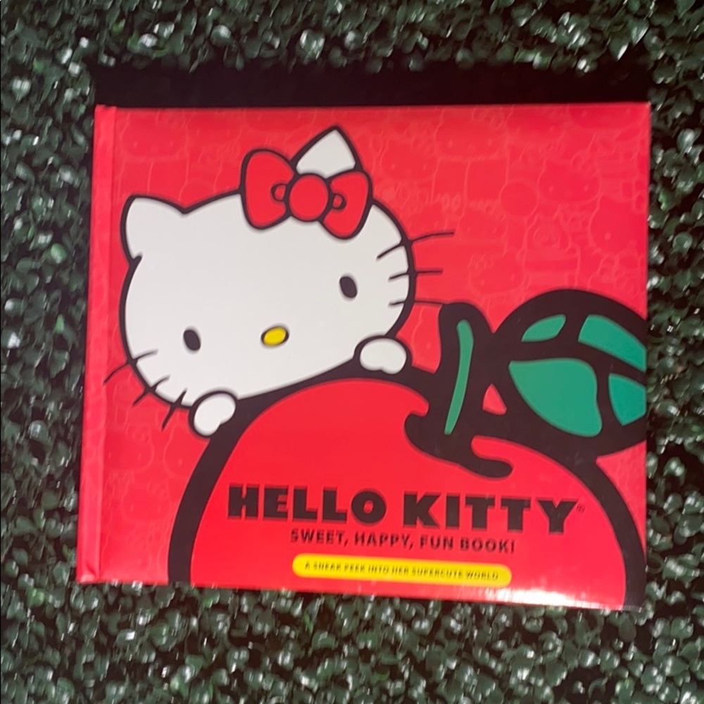 Hello Kitty.    Sweet, Happy, Fun book!